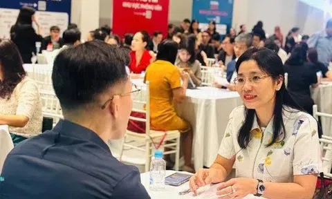 NovaGroup mở đợt tuyển dụng quy mô lớn phía Nam: Mục tiêu 40.000 nhân sự đến năm 2030