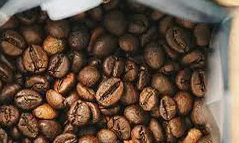 Giá cà phê hôm nay 9/11/2025: Tăng mạnh vào cuối tuần