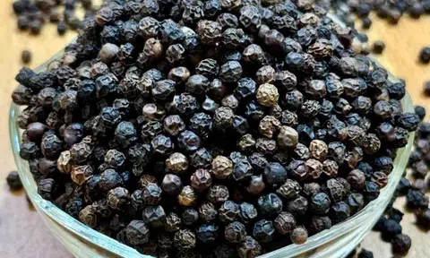 Giá tiêu hôm nay 10/11/2025: Hồ tiêu ở mức cao