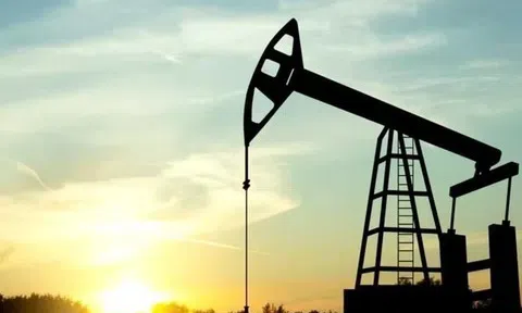 Giá xăng dầu hôm nay 10/11: Cập nhật chi tiết giá thế giới và trong nước