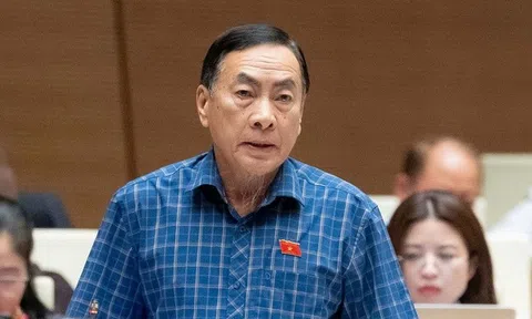 ĐBQH: Mới nghe tin tăng lương, giá cả đã tăng 5-10%