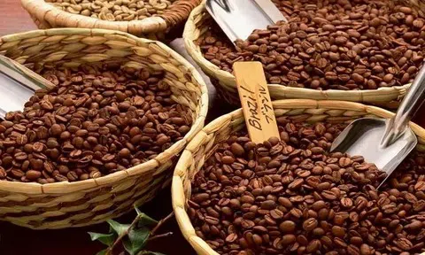 Giá cà phê hôm nay 14/11/2025: Tiếp tục lao dốc, bỏ xa đỉnh cũ