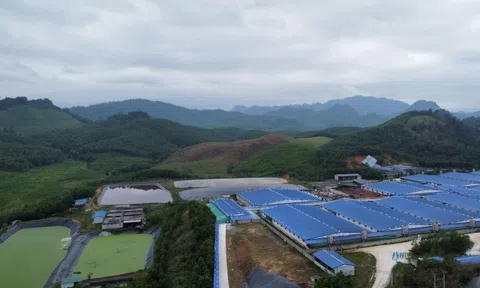 Thanh Hóa: Người dân mất ăn mất ngủ vì trại lợn hôi thối nồng nặc