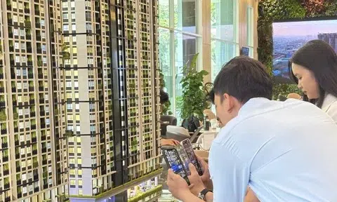 Phí môi giới tăng gấp đôi, hệ lụy “dồn” hết vào người mua nhà