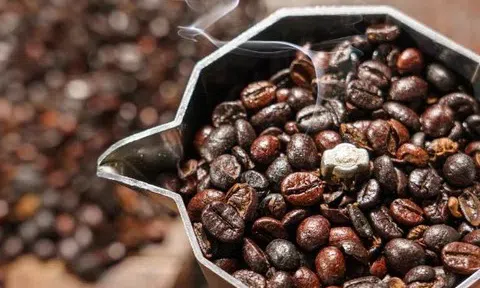 Giá cà phê hôm nay 17/11/2025: Giảm mạnh hơn 9,000 đồng/kg