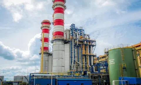 PV Power thu gần 29.000 tỷ đồng sau 10 tháng, Nhơn Trạch 3 phát điện thương mại từ tháng 11