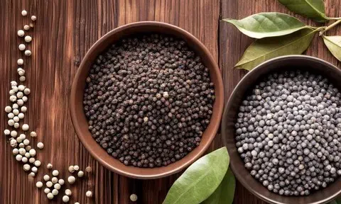 Giá tiêu hôm nay 18/11/2025: Đồng loạt tăng 500 đồng/kg