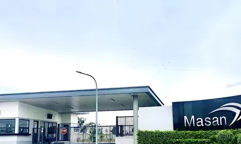 Masan Consumer dự kiến phát hành gần 238 triệu cổ phiếu, nâng vốn lên hơn 13.000 tỷ đồng