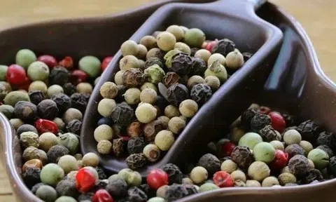 Giá tiêu hôm nay 21/11/2025: Hồ tiêu ở mức 146.500 đồng/kg