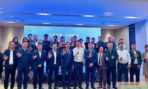 Hội nghị Xúc tiến và Giao lưu Kinh tế Thương mại Trung Giang: Mở ra chương mới hợp tác kinh tế và thương mại