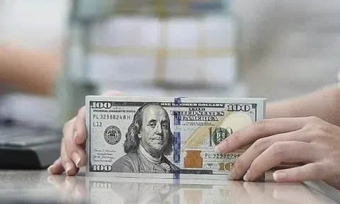 Tỷ giá USD hôm nay 21/11/2025: Cập nhật chi tiết thị trường trong nước và quốc tế