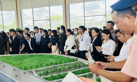 Nhiều doanh nghiệp “vạ lây” nhưng vẫn phải đóng khoản tiền sử dụng đất bổ sung