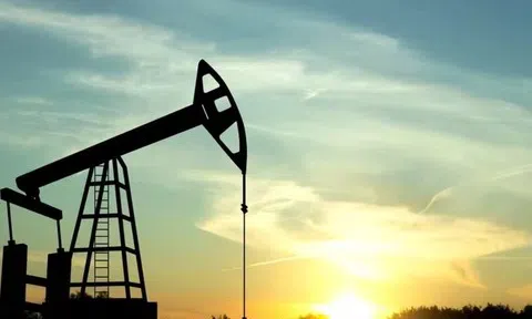 Giá xăng dầu hôm nay 25/11: Cập nhật giá xăng dầu thế giới và trong nước