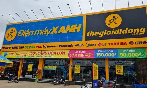 MWG thu hơn 128.000 tỷ đồng sau 10 tháng, đồng loạt mở mới Bách Hóa Xanh, An Khang, AVAKids, EraBlue