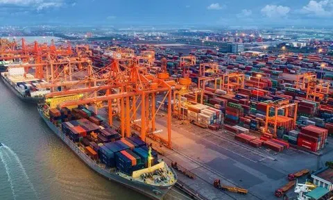 Doanh nghiệp Việt Nam đổi chiến lược thị trường nhanh vượt xa đối thủ toàn cầu