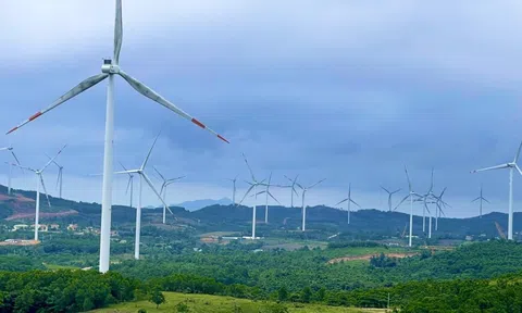 Điện gió Quảng Trị cắt giảm công suất, hướng đi nào cho phát triển năng lượng tái tạo bền vững?