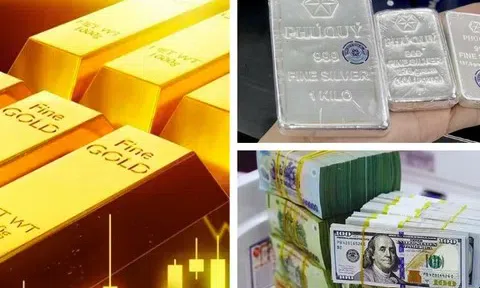 Giá vàng tăng thêm 500.000 đồng/lượng