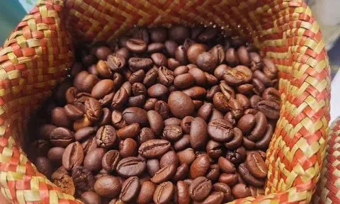 Giá cà phê hôm nay 28/11/2025: Cà phê nội địa quay đầu giảm