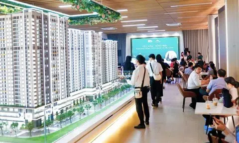 TP.HCM kiểm tra dự án bất động sản bán “lúa non”, tăng giá bất thường