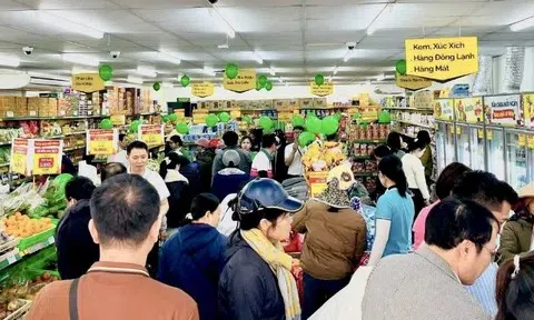 Bách Hóa Xanh đồng loạt khai trương 20 siêu thị tại Ninh Bình, mở đầu tham vọng "Bắc tiến"