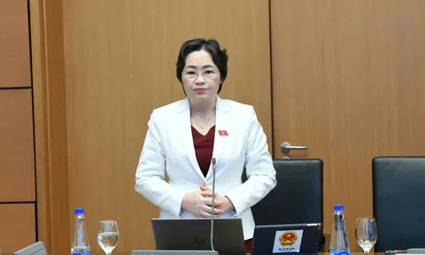 Nên thận trọng khi cho địa phương cấp phép thăm dò, khai thác kim loại quý