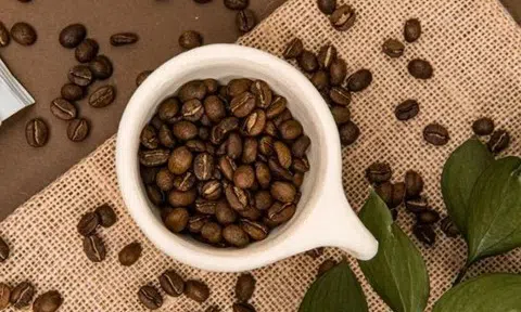 Giá cà phê hôm nay 30/11/2025: Tiếp tục tăng nhẹ