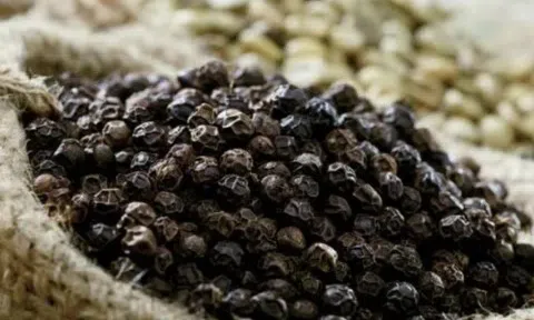 Giá tiêu hôm nay 1/12/2025: Nông dân găm hàng chờ giá tăng