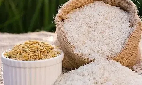 Giá lúa gạo hôm nay 2/12/2025: Thị trường khởi sắc, giá ít biến động