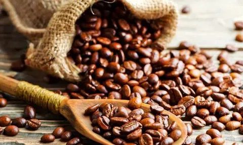 Giá cà phê hôm nay 3/12/2025: Giảm mạnh khi Việt Nam sắp bước vào cao điểm thu hoạch