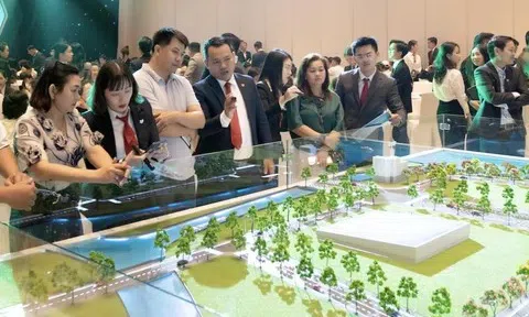 Giá chung cư Bình Dương (cũ) “đắt” hơn TP.HCM (cũ)?