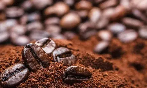 Giá cà phê hôm nay 4/12/2025: Giảm phiên thứ 3 liên tiếp