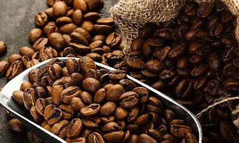 Giá cà phê hôm nay 5/12/2025: Giá cà phê tiếp đà giảm mạnh