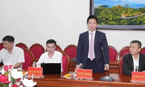 Năng lượng VinEnergo thuộc Vingroup có CEO mới