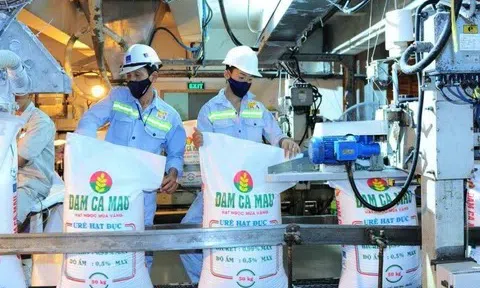 Vừa nâng chỉ tiêu kinh doanh năm 2025 lên gấp đôi, Phân bón Cà Mau lại đặt kế hoạch 2026 “đi lùi”