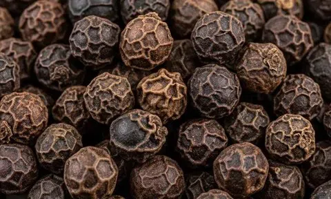 Giá tiêu hôm nay 9/12/2025: Tăng 500 đồng/kg