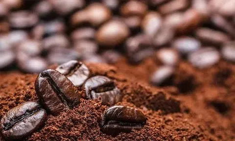 Giá cà phê hôm nay 7/12/2025: Chốt tuần không đổi