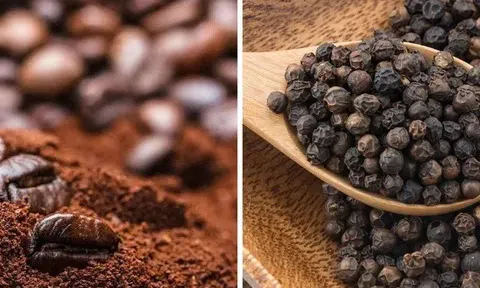 Nguồn cung phục hồi giá cà phê giảm sâu, hồ tiêu biến động trái chiều