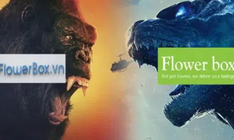 Chỉ đăng ký bảo hộ nhãn hiệu mà bỏ qua tên miền, tranh chấp phát sinh giải quyết như thế nào?