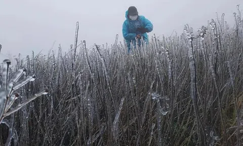 Dự báo thời tiết 11/12: Miền Bắc sắp đón không khí lạnh rất mạnh