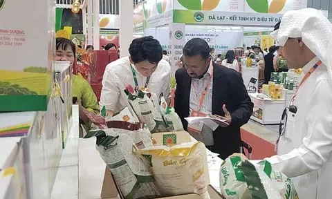 Khánh Hòa, Đà Nẵng thúc đẩy hợp tác đầu tư với doanh nghiệp thị trường Halal