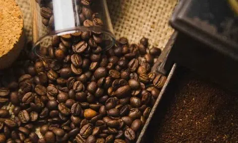 Giá cà phê hôm nay 14/12/2025: Trong nước rơi khỏi mốc 100.000 đồng/kg