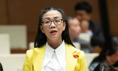 Cần vai trò giám sát độc lập trong chuỗi hoạt động tuyển - tách - chế biến đất hiếm