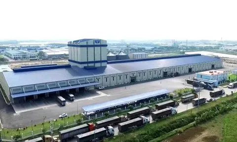 IPO Nông nghiệp Hòa Phát: Triển vọng cổ phiếu được dự báo ra sao?