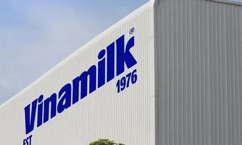 F&N dự chi hơn 6.000 tỷ đồng mua 4,6% cổ phần Vinamilk