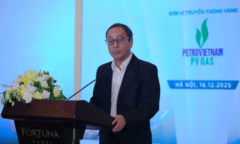 136 tỷ USD cho điện đến 2030: Việt Nam tìm vốn ở đâu?