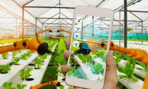 Hệ thống truy xuất nguồn gốc đi vào vận hành: Minh bạch hàng hóa, nâng chuẩn quản lý thị trường