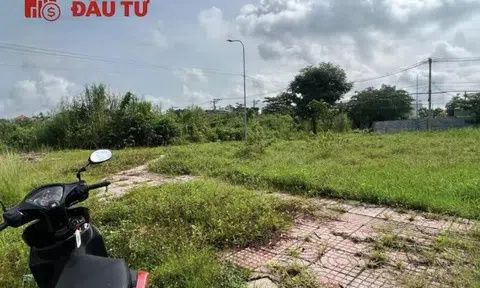 Mua đất phân lô trên giấy “hứa”, nhà đầu tư ngã ngửa khi biết sổ hồng đã bị chủ đầu tư đem cầm cố ngân hàng từ lâu