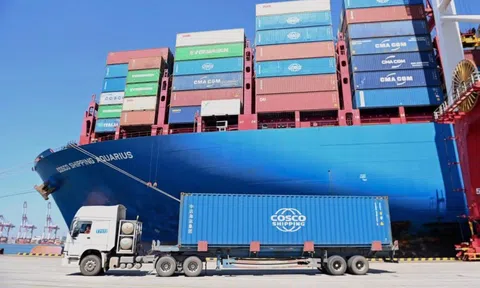 Bộ Công Thương vào cuộc "giải cứu" gần 500 container chè mắc kẹt tại Pakistan