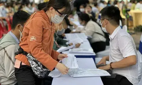 Trợ cấp thất nghiệp từ năm 2026 được quản lý chặt chẽ và minh bạch hơn theo Luật Việc làm 2025