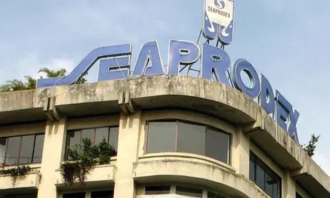 Công ty con của Novaland mua cổ phần Seaprodex, lấn sân ngành thủy sản